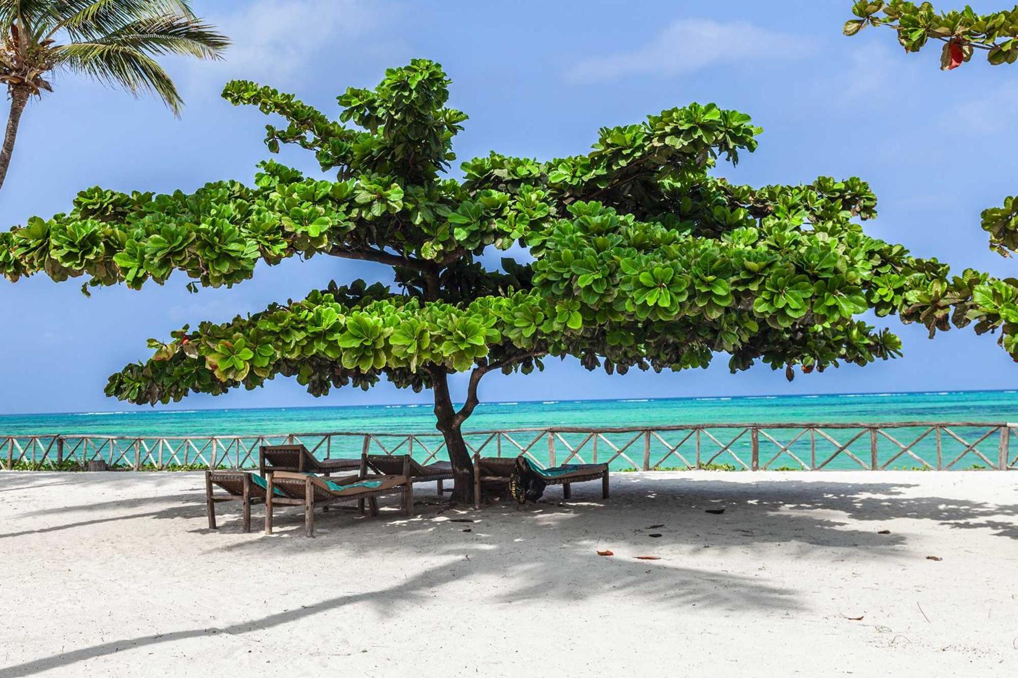 Vrclub Paje Palms Beach Resort Eksteriør bilde